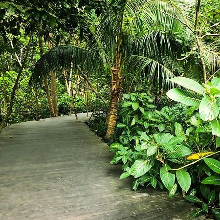 Rayshiva Homestay Ubud Dış mekan fotoğraf