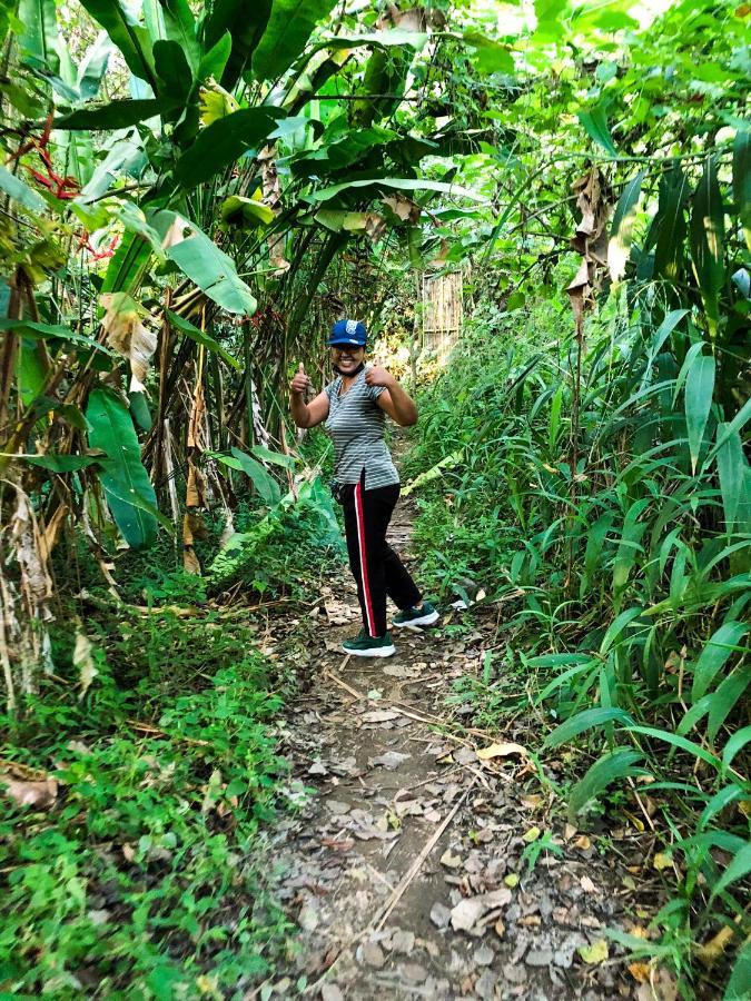 Rayshiva Homestay Ubud Dış mekan fotoğraf